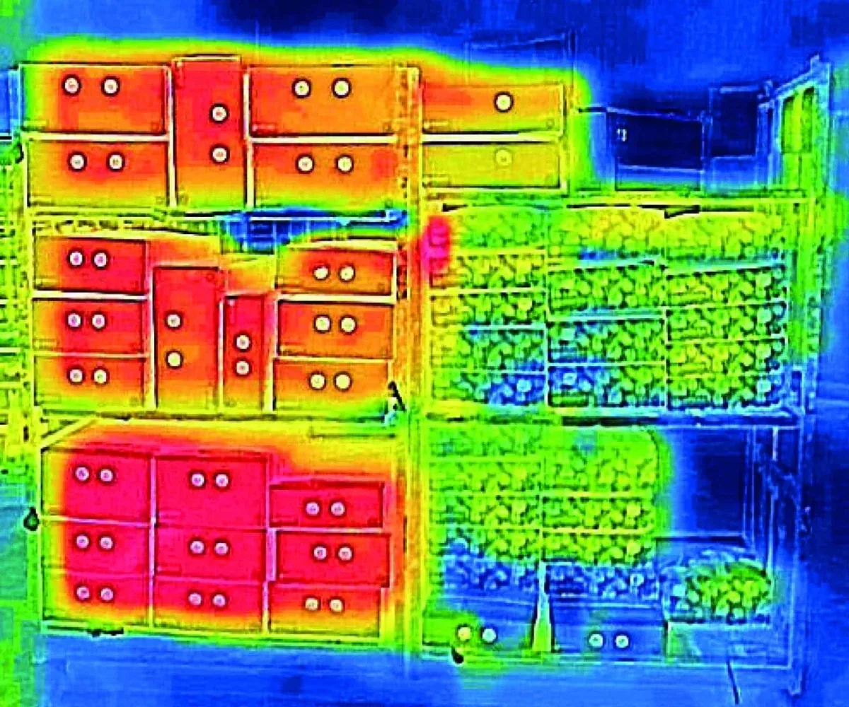 Infrared Picture Vacuum Cooled Shipment Comparison 1536x1280 b75daf9f