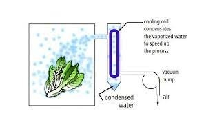 Proces vacuum cooling