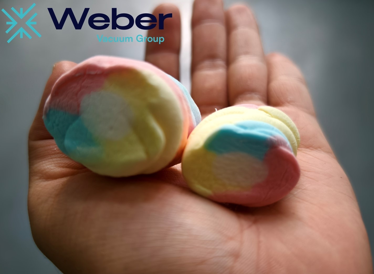 Weber Vacuum Freeze dried marshmallow vs regular 11