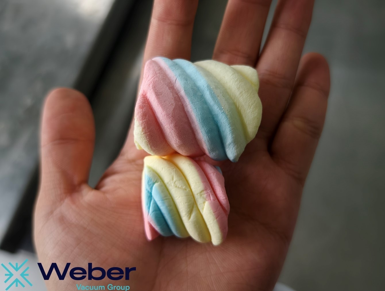 Weber Vacuum Freeze dried marshmallow vs regular 22