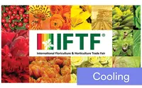 Logo IFTF Logo IFTF
